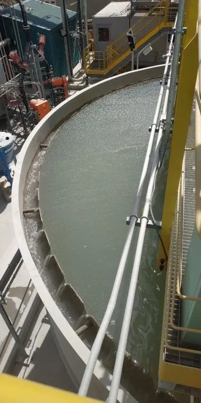 Coagulantes orgânicos para tratamento de água e efluentes