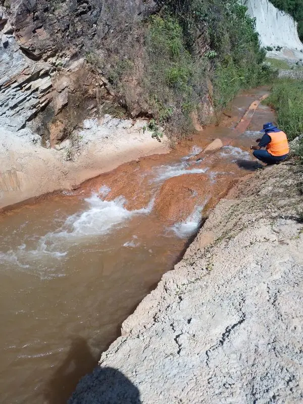 Floculante catiônico