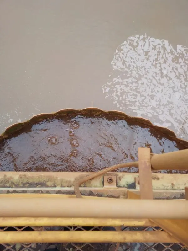 Floculante catiônico para tratamento de água